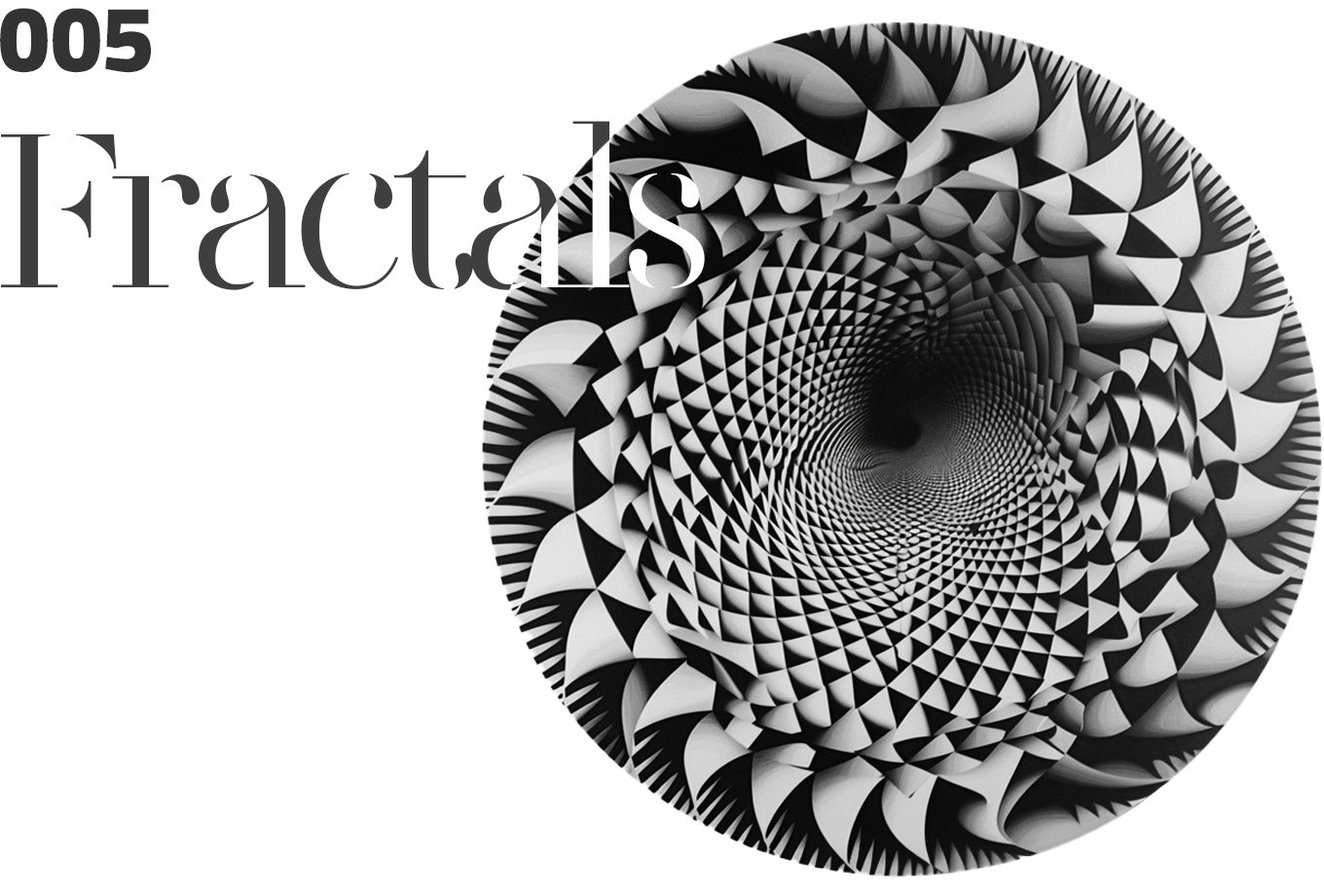 Issue 005: Fractals ft. Can Büyükberber