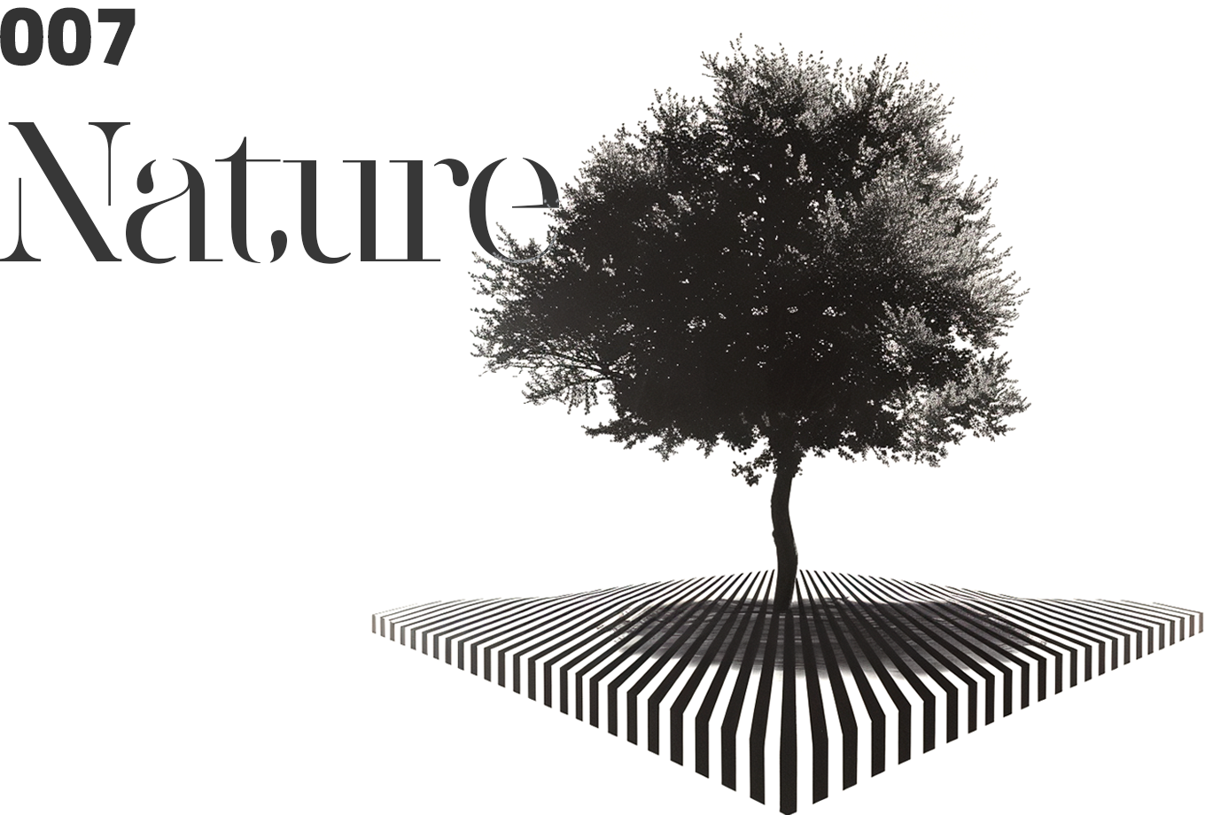 Issue 007: Nature ft. Astra Lumina